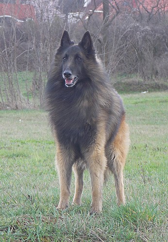 Cloe210