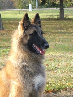 Vilma4