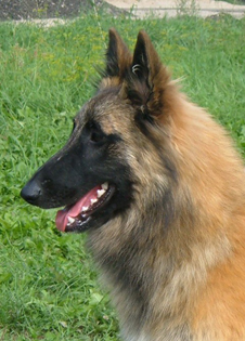 Vilma06